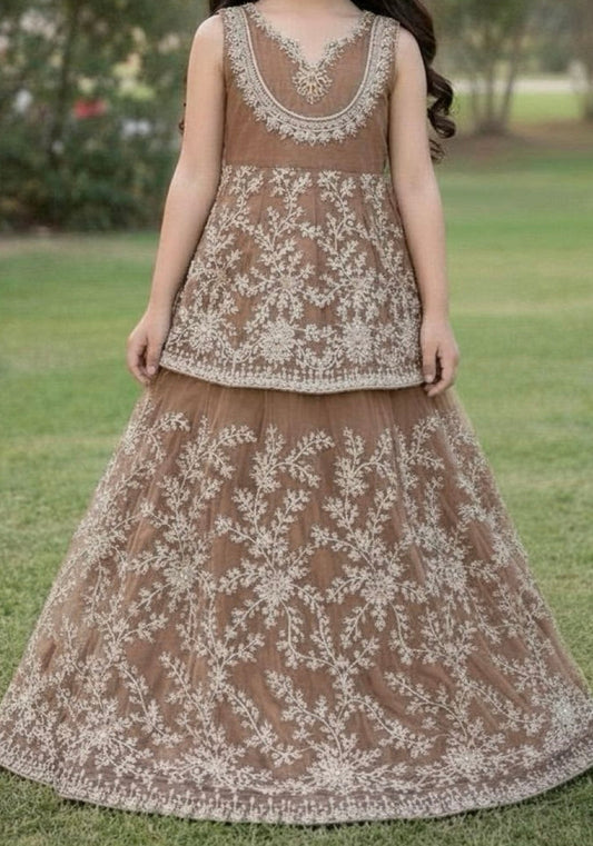 Noor’s-Brown Net Lehnga-3Pc