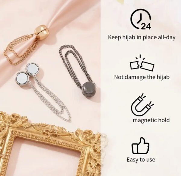 Multi Purpose Magnetic Brooch