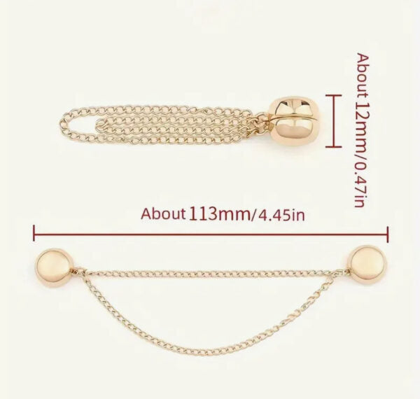 Multi Purpose Magnetic Brooch