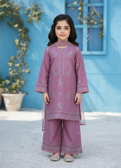 Noor’s-Purple Kameez shalwar Soft Khaddar-3Pc