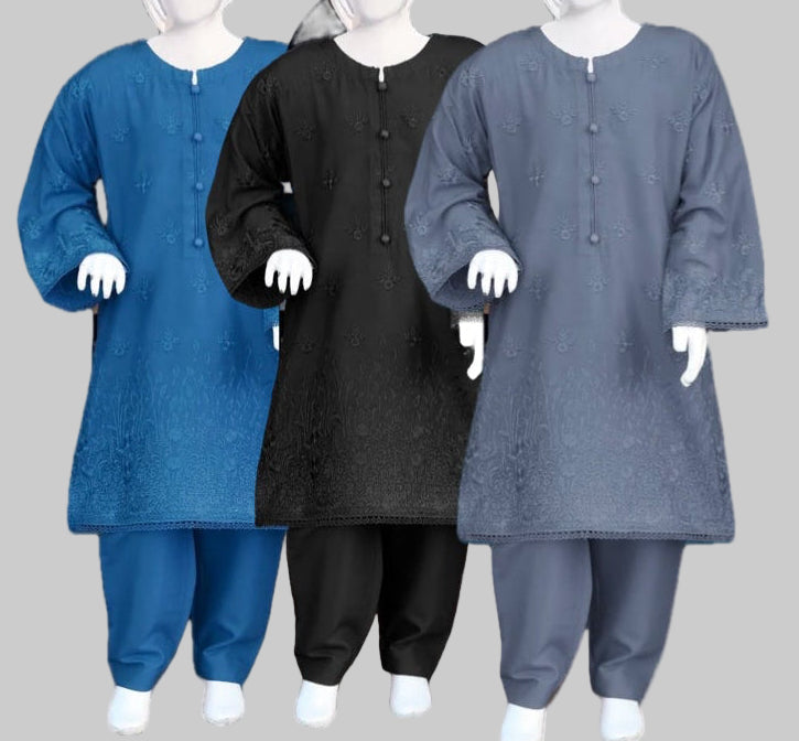 Embroidered Linen Kameez Shalwar-3 Colours-