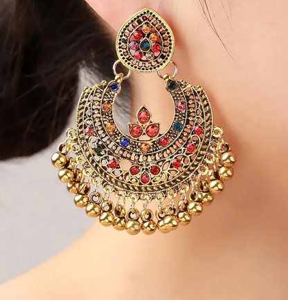 Multi colour Earrings