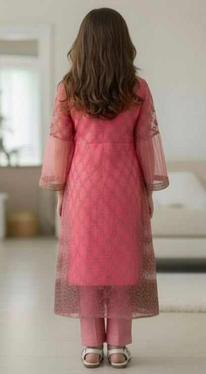 Noor’s-Pink Fancy Net Frock-3pc