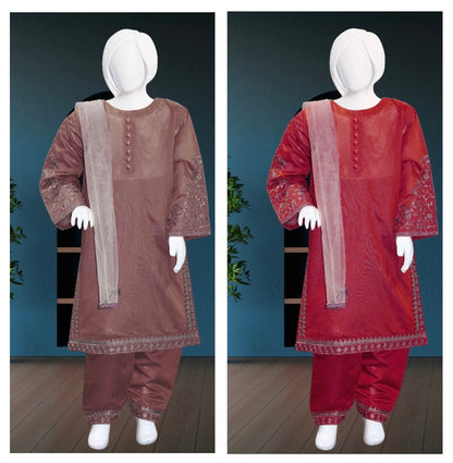 Embroidered Kameez Shalwar- 2 Colours