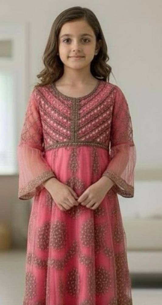 Noor’s-Pink Fancy Net Frock-3pc