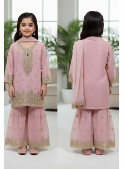 Noor’s-3Pc Sharara-Light Pink