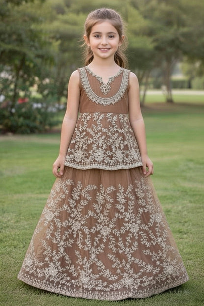 Noor’s-Brown Net Lehnga-3Pc