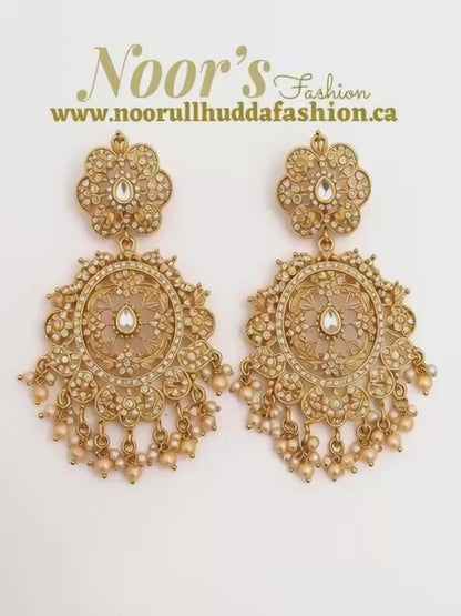 Champagne-3D Zircon Stone Dangle Earrings