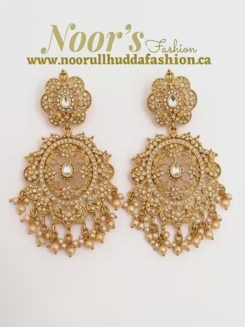 Champagne-3D Zircon Stone Dangle Earrings