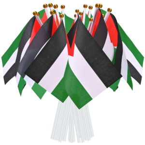 Palestine Flag