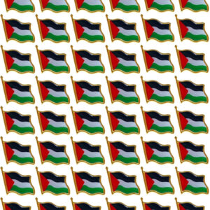 Palestine Flag Pin Badge