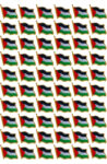 Palestine Flag Pin Badge